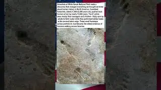 Ancient Footprints Rewrite Human History