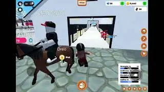 Training with Polly 