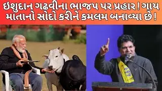ઇશુદાન ગઢવીએ કેમ કહ્યું ભાજપે ગાય માતાના સોદા કરી કમલમ બનાવ્યા ! NEWSPORTER | ISUDANGADHVI | MORBI