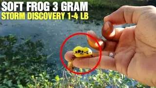 Ultralight Fishing With Micro Soft Frog