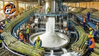 Inside largest sugar Factory: How Millions Of Raw Sugarcane Are Turned Into Sugar (Full  Process)