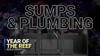 Demystifying Sumps and Plumbing - Year Of The Reef EP 02