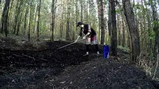 жук