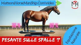 Pesante sulle spalle ?  Fai questo