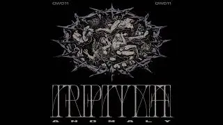 TRIPTYKH - Drearheart (Official Audio)