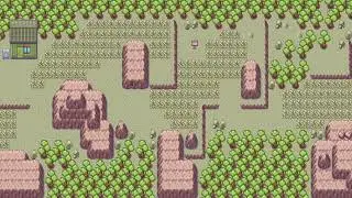 Pok&eacute;mon Ruby Sapphire & Emerald Route 113