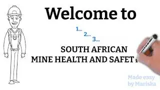 Mine Health and Safety Act - Chapter 2: 2A - Chief executive officer charged with certain functions