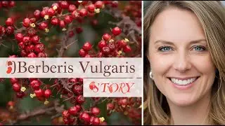 Story Of A Homeopathic Medicine Berberis Vulgaris / The Girl with Stolen Glow