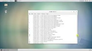 Linux Commands - ps kill df du mount umount