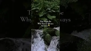 Why nature helps with anxiety | Green therapy for your nervous system (read the text bellow)