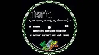 DJ Hector Carrero & Dvit Bousa - Fragments of A Dawn ( Original Mix ) Release Date August 28th