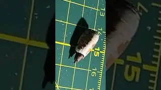 Ima make a diorama of the plane crash and I&rsquo;ll make an animation of the story of the first comment