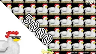 Harvest 5000 chicken growtopia