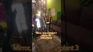 mirror lamp and plant all 3 items only 15k COD only karachi 03452788412
