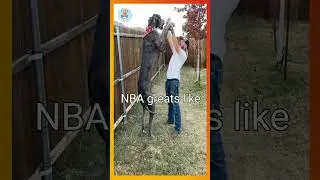 The Tallest Dog Ever!