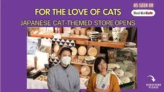 For the love of cats - Japanese Cat-themed store opens in SF Japantown