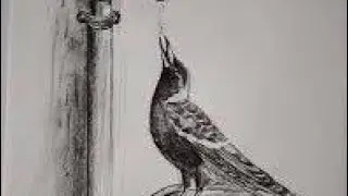 Drawing Bird 🐦 Drinking water 💧💧💧 #art #drawing #artandcraft 