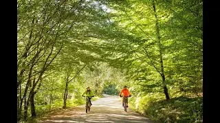 Discover Fall & Holiday Magic in Porto and the North of Portugal