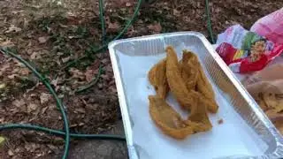Trying out my new Cajun Fryer