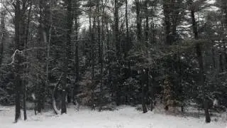 Pipe Choir (P C III) - Snow Ticket