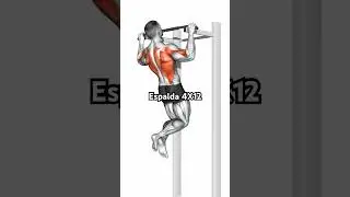 Espalda 4X12 #gym #workout #cuerpofitnes #fitneess