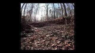 Zen Creek