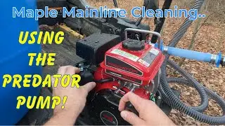 Cleaning Maple Sap Tubing Using The HARBOR FREIGHT PREDATOR PUMP