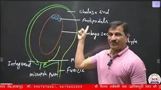 Structure of Ovule | Structure of Gynoeceum | Unwrap the Mysterious Structure of an Ovule!