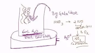 Lab instructions_Aldaric Acid