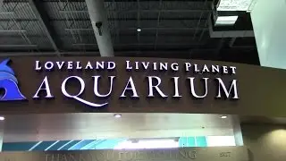 Loveland Living Planet Aquarium Draper Utah