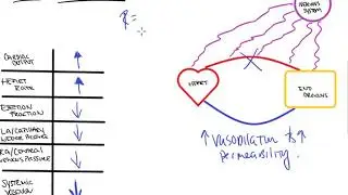 Distributive Shock