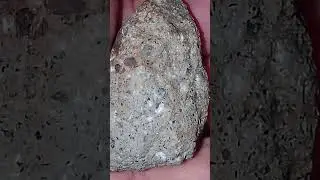 Stony with Gem stone,Carbon, Iron, nickel rich, magnetic