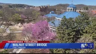 Walnut Street Bridge