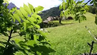 Relax 8 Hours Relaxing Morning Sounds with Rooster, Chickens, Birds Chirps