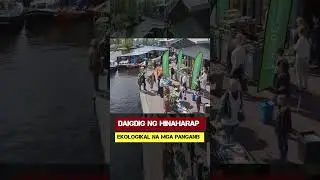 Daigdig ng hinaharap. Ekologikal na mga panganib