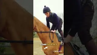 Секреты скачек: скрытые приемы жокея!