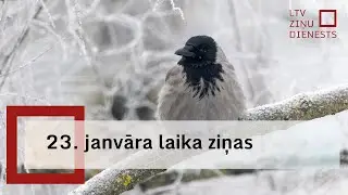 23. janvāra laika ziņas