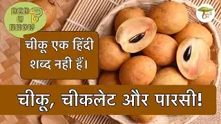 Where Did #Chikoo Come From? (Hindi) | TackOn