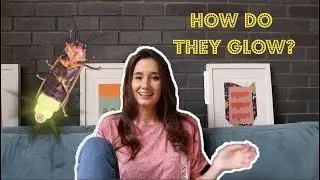 HOW FIREFLIES GLOW: EXPLAINED IN 30 SECONDS