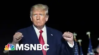 Judge releases parts of Georgia grand jury report on Trump election probe