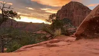 🌵 1 Hour Desert Ambience | Calm Night in the Desert for Relaxation, Study & Sleep
