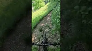 Steil - wurzlig - technisch🤘 Der H&ouml;rnli Trail ist super #mtb #mtblife #fun #shorts #short #goodvibes