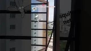 Mosquitoes Net  