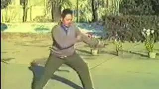 Chen Taijiquan Er Lu Pao Chui   Feng Zhiqiang