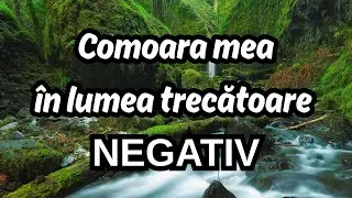 Comoara mea în lumea trecătoare - NEGATIV