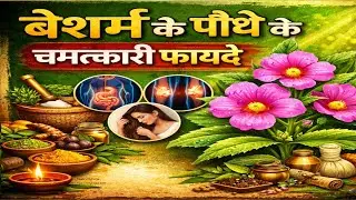 बेशर्म के पौधे के चमत्कारी फायदे,बेशरमी, बेहया,IPOMOEA CARNEA की पहचान और औषध उपयोग