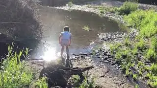 DOWN BY THE RIVER - SUMMER BY THE RIVER #riverwalk #riversounds  #riverrocks ##riverswim #frogs