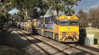 Trains in South Australia: 5MP5 Clapham