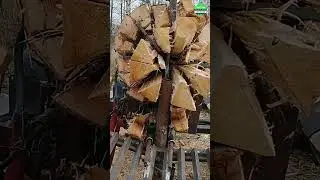 Ultimate Forest Harvesting Machine #Beast 13 | Extreme Dangerous Big Chainsaw Cutting Tree Machines