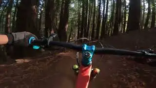 Tamarancho Flow Trail and Graveyard // Fairfax and Marin MTB 4k